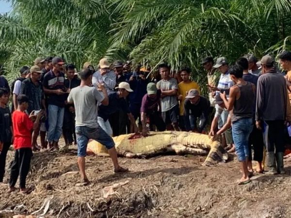 Ảnh bìa bài viết 956347