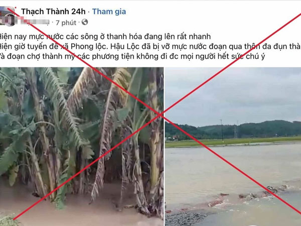 Ảnh bìa bài viết 956460