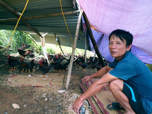 Ảnh bìa bài viết 956677