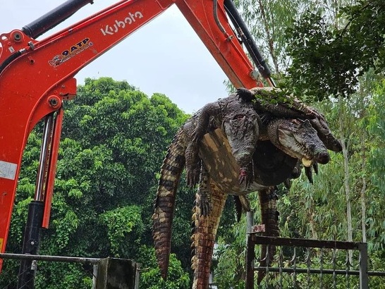 Ảnh bìa bài viết 956824