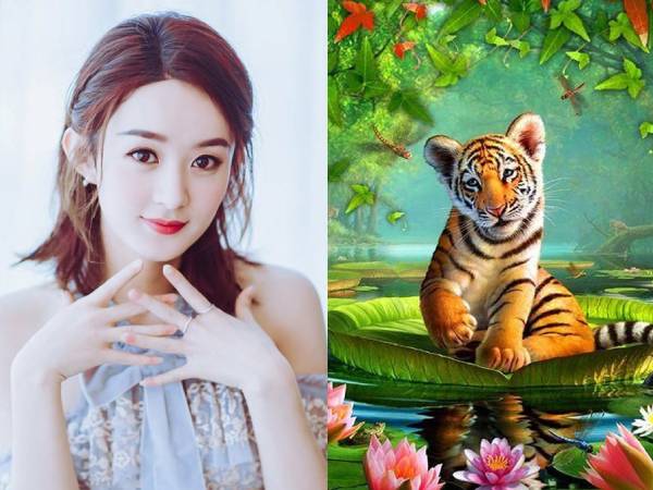 Ảnh bìa bài viết 956761