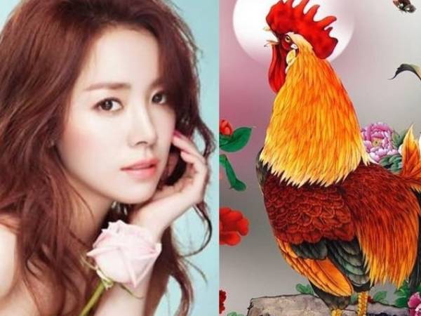 Ảnh bìa bài viết 958077