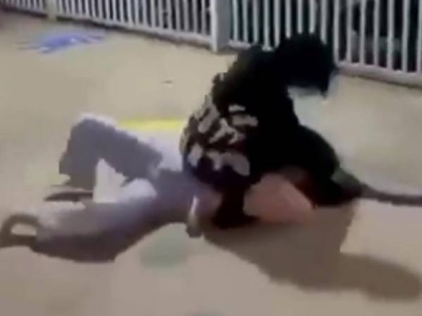 Ảnh bìa bài viết 958454