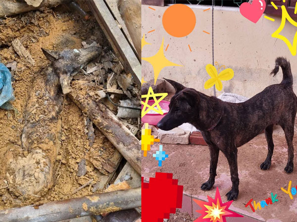 Ảnh bìa bài viết 958514