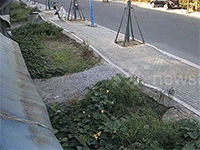 Ảnh bìa bài viết 960872