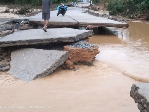 Ảnh bìa bài viết 961936