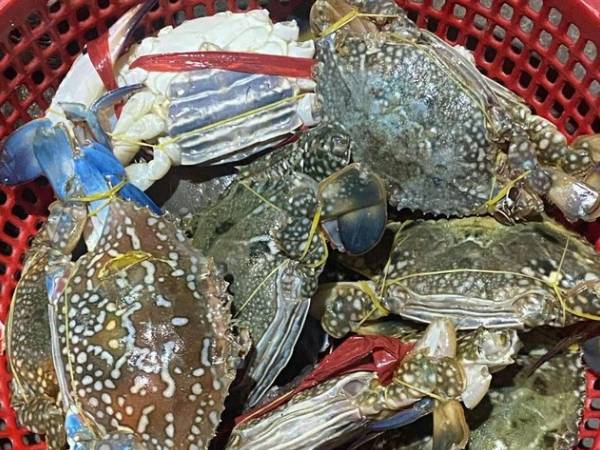Ảnh bìa bài viết 961908