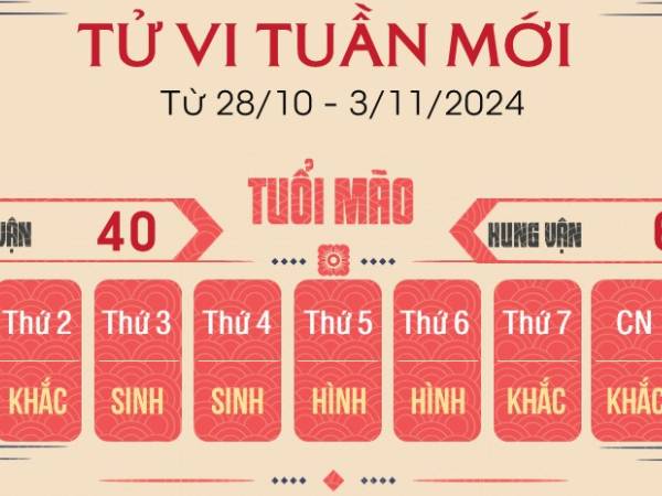 Ảnh bìa bài viết 961937