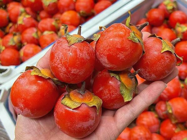 Ảnh bìa bài viết 962037