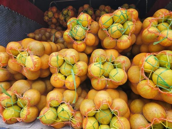 Ảnh bìa bài viết 962386