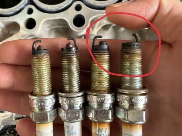 Ảnh bìa bài viết 962560