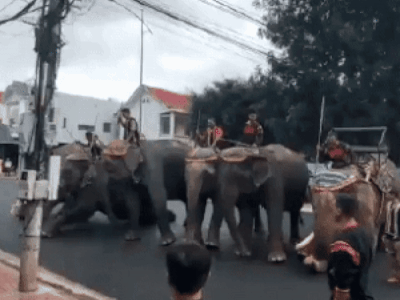 Ảnh bìa bài viết 962764