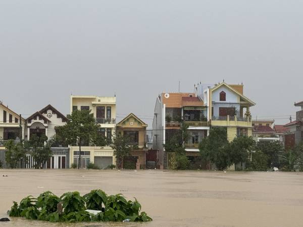 Ảnh bìa bài viết 962742