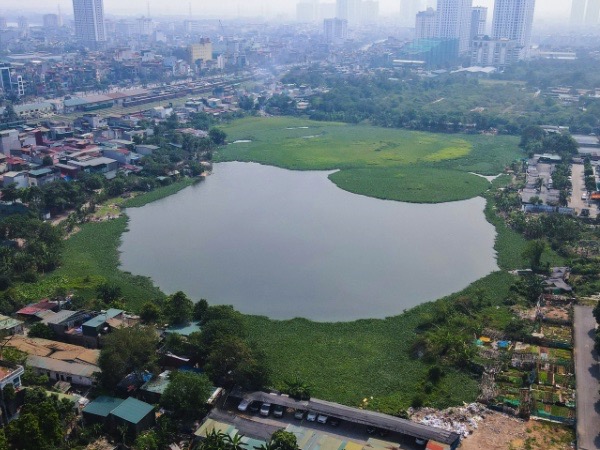 Ảnh bìa bài viết 962843