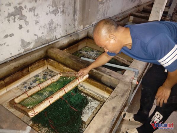 Ảnh bìa bài viết 965478