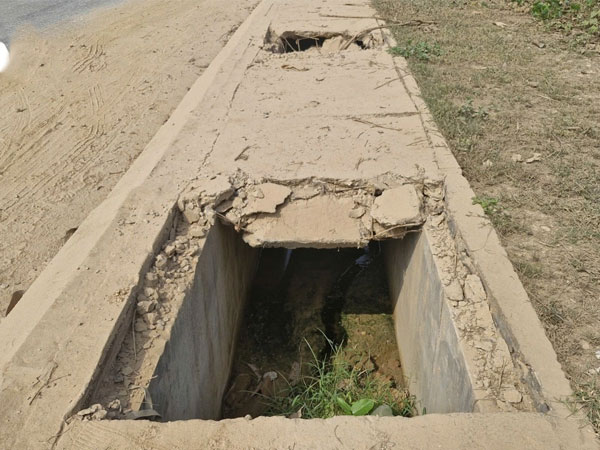 Ảnh bìa bài viết 965724