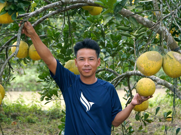 Ảnh bìa bài viết 965781