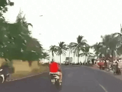 Ảnh bìa bài viết 965958