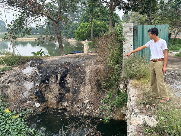 Ảnh bìa bài viết 966147
