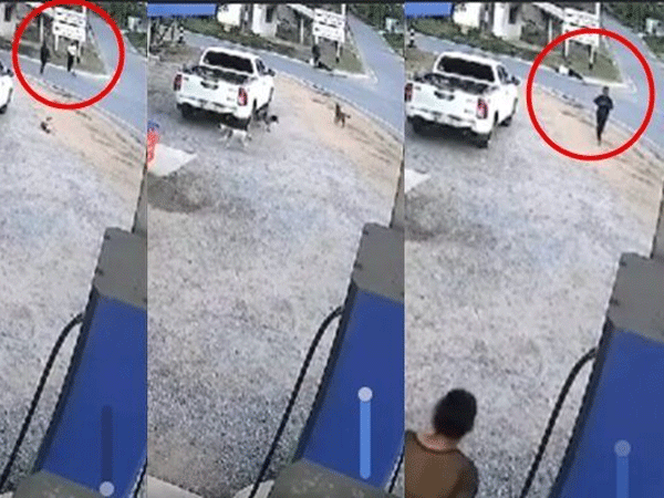 Ảnh bìa bài viết 966593