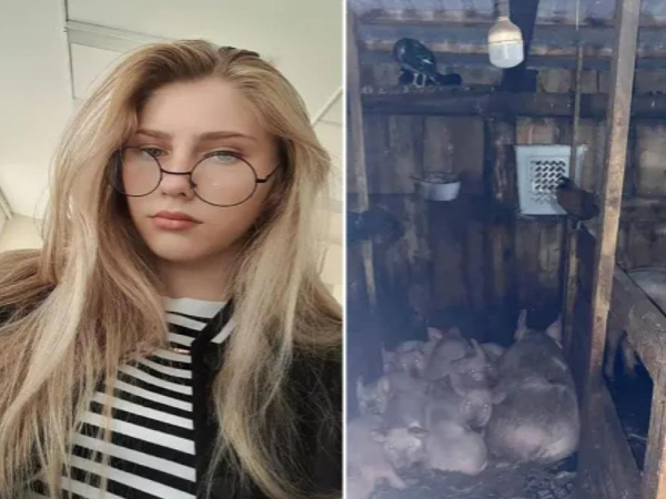 Ảnh bìa bài viết 966741