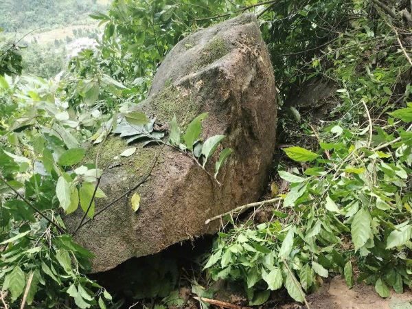 Ảnh bìa bài viết 967023