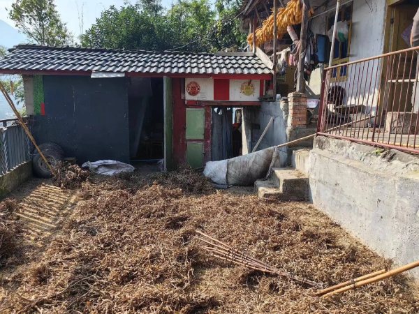 Ảnh bìa bài viết 967036