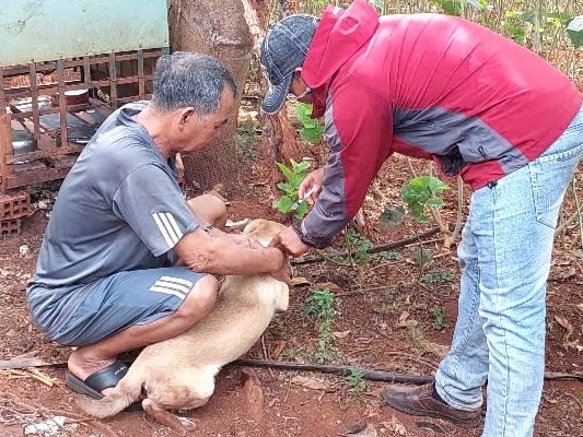 Ảnh bìa bài viết 968018