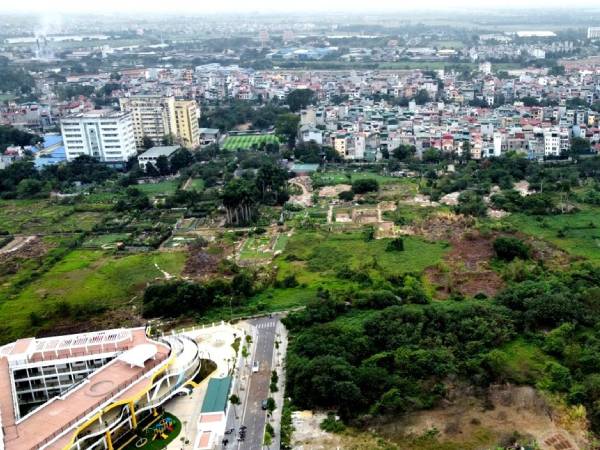 Ảnh bìa bài viết 968317