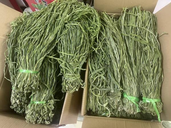 Ảnh bìa bài viết 969430