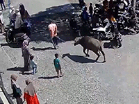 Ảnh bìa bài viết 969460