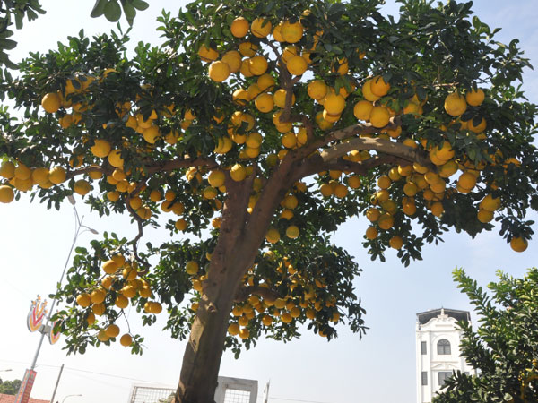 Ảnh bìa bài viết 969836