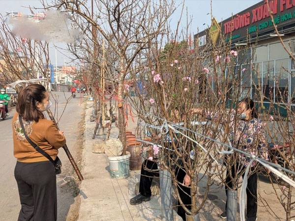 Ảnh bìa bài viết 970543