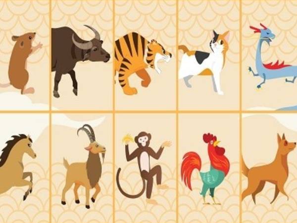 Ảnh bìa bài viết 970705