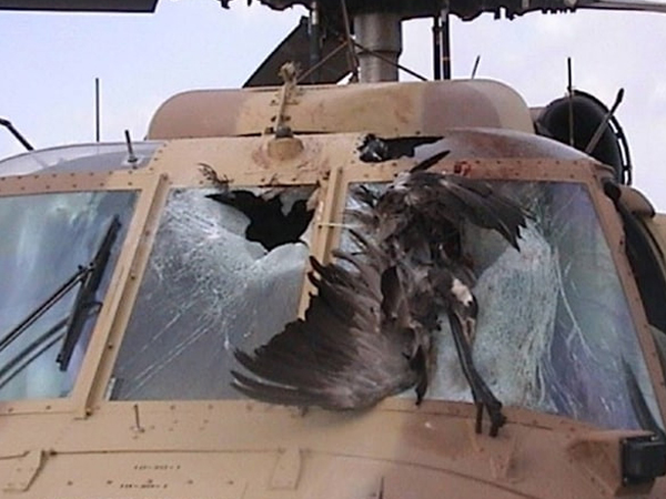 Ảnh bìa bài viết 971190