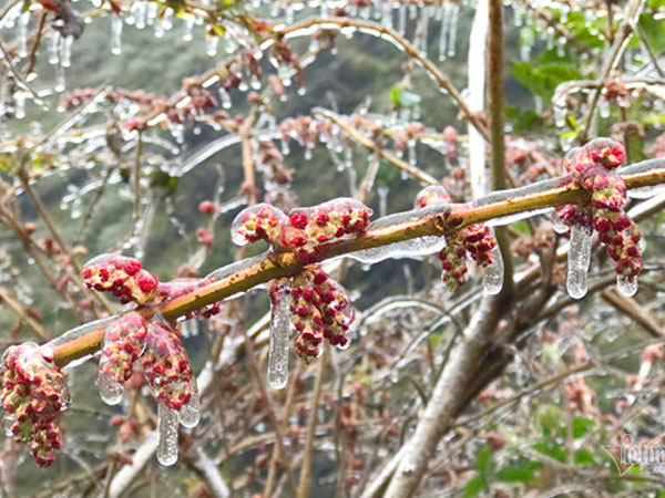 Ảnh bìa bài viết 971647