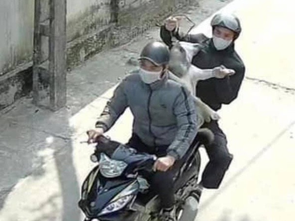 Ảnh bìa bài viết 971932