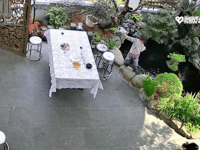 Ảnh bìa bài viết 972020