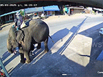 Ảnh bìa bài viết 972335