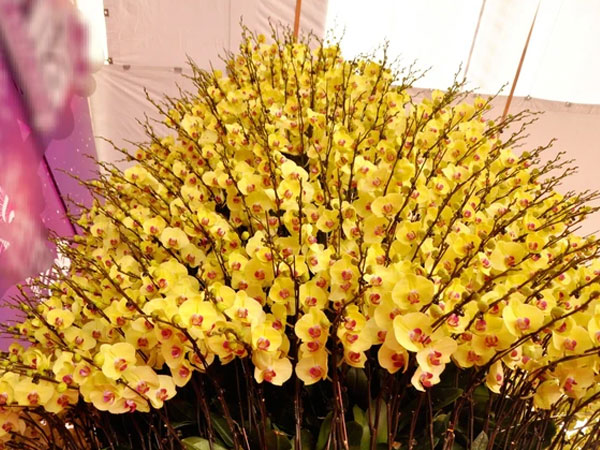 Ảnh bìa bài viết 972488