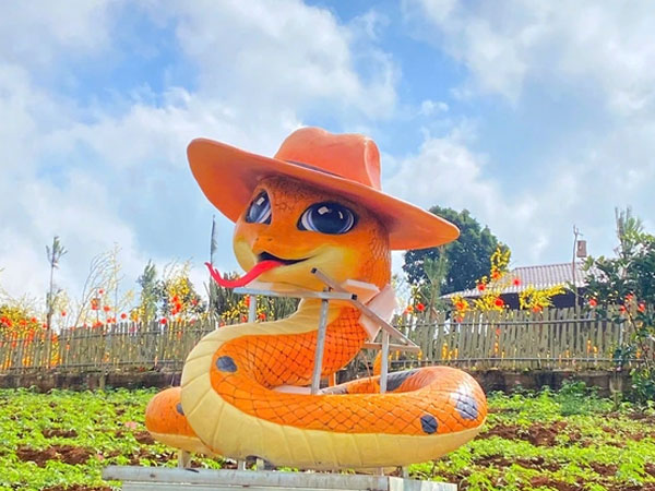 Ảnh bìa bài viết 972470