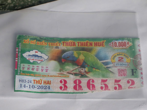 Ảnh bìa bài viết 972497