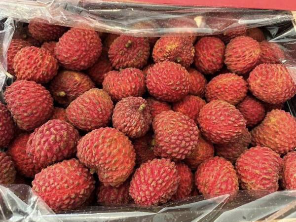 Ảnh bìa bài viết 973513