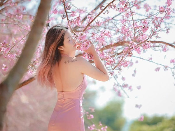 Ảnh bìa bài viết 973755