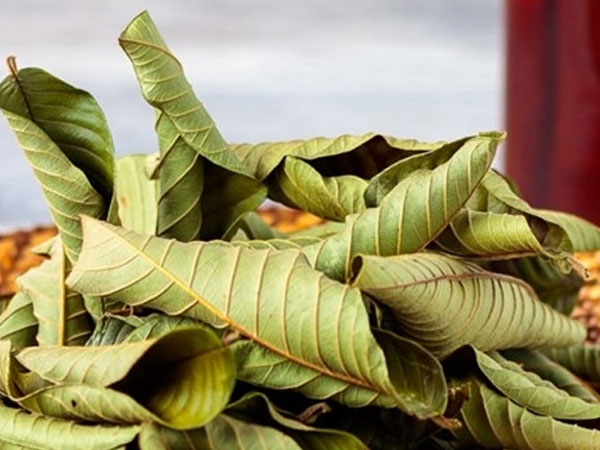 Ảnh bìa bài viết 973992