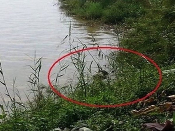 Ảnh bìa bài viết 974654