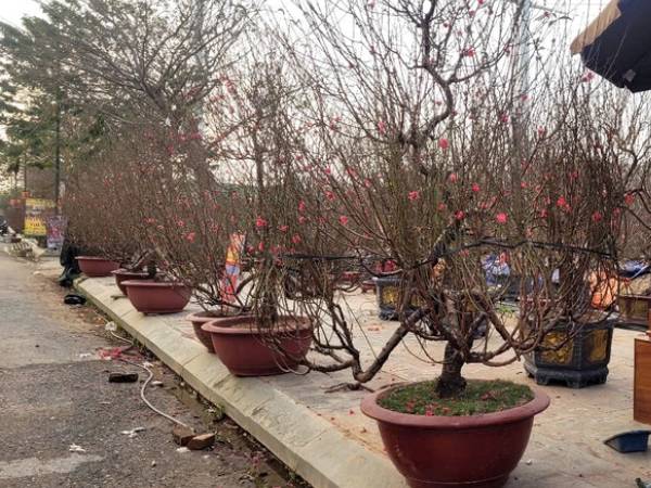 Ảnh bìa bài viết 974645