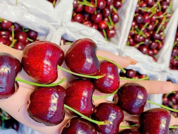 Ảnh bìa bài viết 974871