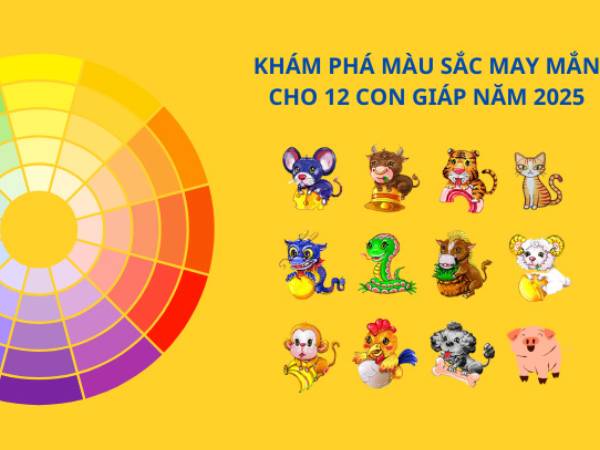Ảnh bìa bài viết 975507
