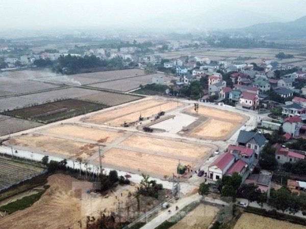 Ảnh bìa bài viết 977036